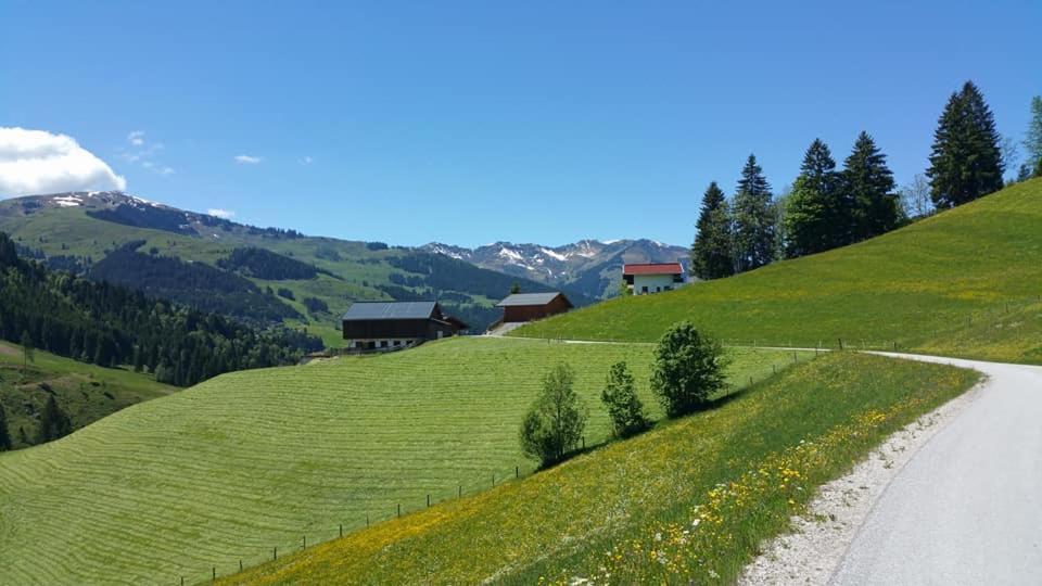 Haus Am Sonnberg Villa Maria Alm am Steinernen Meer Bagian luar foto